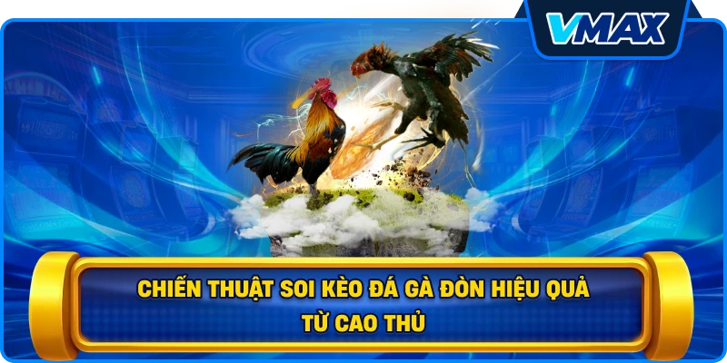 Chiến thuật soi kèo đá gà đòn hiệu quả từ cao thủ